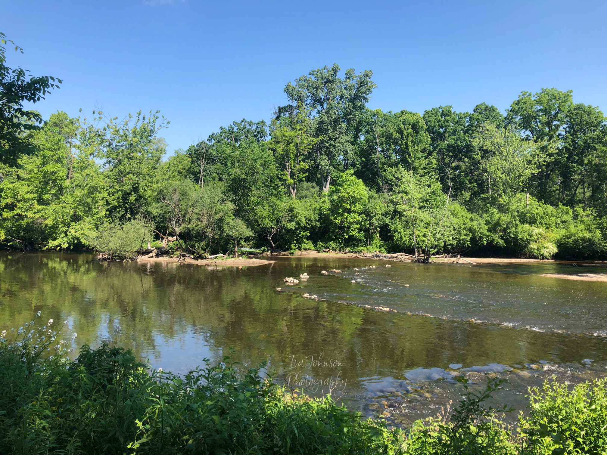 Investigating the Scenic Trails of the Nichols Arboretum - The ...